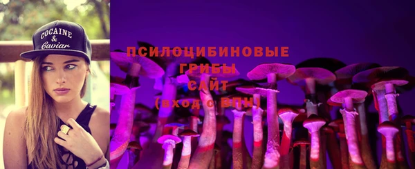 бошки Алексеевка
