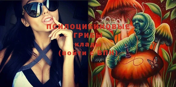 бошки Алексеевка